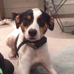 Dudley and Higgins Mulvey - @dudleyandhiggs - Instagram