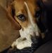 Dudley Huffman - Facebook