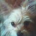 Dudley Hyde - Facebook
