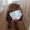 King Dudley - @kingdudley - TikTok