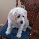 Dudley Miller - @dudleymiller1174 - Instagram