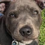 Dudley Moses - @duddlesm - Instagram