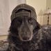 Dudley Pendleton - Facebook
