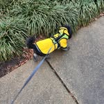 DUDLEY - @dudley.a.stewart - Instagram