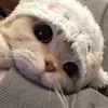 Stewart Dudley - @stewart.dudley7 - TikTok