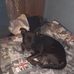 Stewart Dudley - Facebook