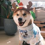 Duffy - @_duffywang - Instagram