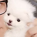DuffyWang - @duffywang27 - Instagram