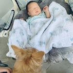 Mochi&Duffy - @duffy_wang1023 - Instagram
