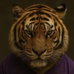Dujuan K. Mitchell - @dujuanmitchell - Instagram