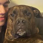Duke Alvarez - @dukeofharrison - Instagram