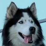 Duke Álvarez Jalón - @duke.a.j - Instagram
