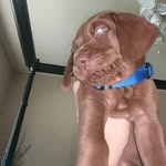 Duke Carter - @dawgydukecarter - Instagram