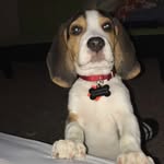 Duke Carter - @thedukemonster_ - Instagram