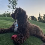 Duke Carter - @dukecarterthepwd - Instagram
