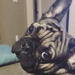 @duke_carter_spam - Instagram