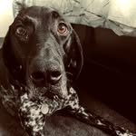 Duke Collins - @dukecollins_ - Instagram