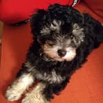 duke-black.diamond - @duke_.black.diamond - Instagram