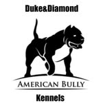 Duke&DiamondKennels - @dukediamondkennels - Instagram