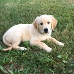 Duke Harvey - @duke_harvey - Instagram