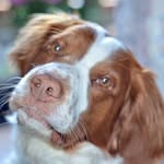 Duke Harvey - @dukeofhazzardcounty - Instagram