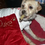 Duke Hendrickson - Facebook