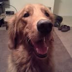 Duke Hendrickson - Facebook