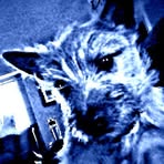 Duke Hendrickson - Facebook