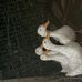 Duke James - Facebook