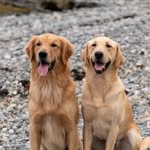Duke James & Nash Allen - @dukejames_nashallen - Instagram