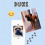 Duke James Wymer - @dukejameswymer - Instagram