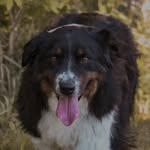Duke Morrow-Merrill - @dukemorrowmerrill - Instagram