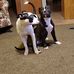 Duke Stokes - Facebook