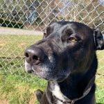 Duke - @duke_turner - Instagram