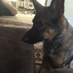 Molly Duke Turner - @molly_duketurner - Instagram