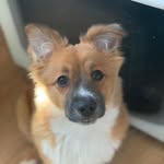Duke - @_duke_vincent - Instagram