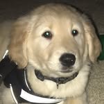 Duke Powers - @duke_walter_stay_golden - Instagram