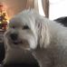 Duke Walter - Facebook