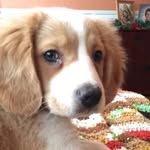 Duke Walter - @duke.walter - Instagram