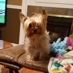 Duke Walter Adkins - @duke_walter_adkins - Instagram