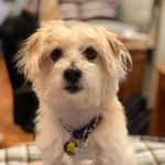 Duke Walter Cooper - @dukecoop - Instagram