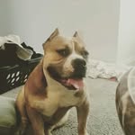 duke young - @duke_young504 - Instagram