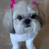 D.A - @dulce.apodaca_ - TikTok