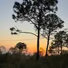 Dulce Ayala - @candyybarr97 - TikTok