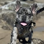 Dulce Barraza - @dolce_barraza - Instagram