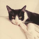 Dulce Bello - @dulce.bello.7169 - Instagram