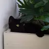 dulcemariabueso - @dulcemariabueso - TikTok