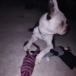 Dulce Cabrera - @dulce.cabrera.940 - Instagram