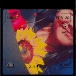 Dulce Calvillo Mazariegos - @calvillo_mazariegos - Instagram