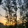 Dulce Calvo 🦋 - @dulcecalvo1 - TikTok